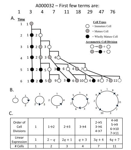 Figura 2