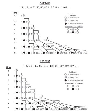 Figura 3