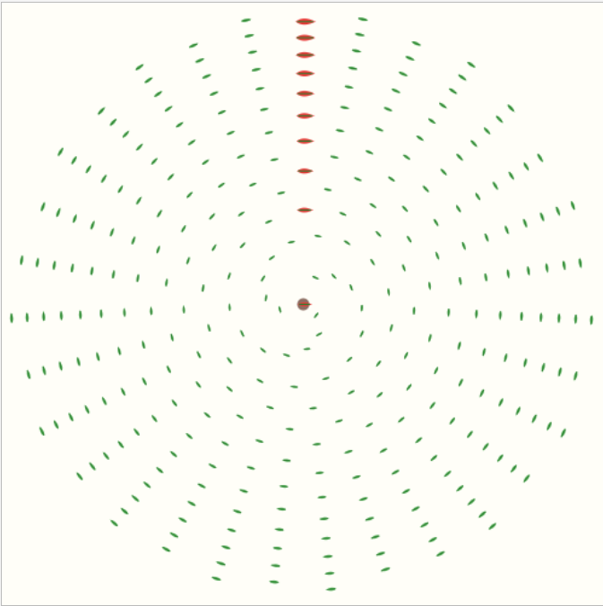 Filotaxis con 31 brazos rectos