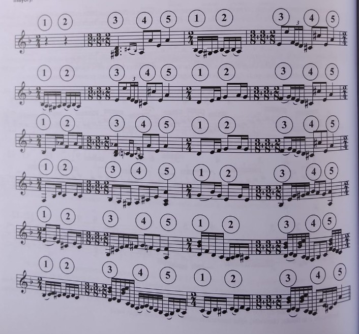 Pentagrama 48 — siguiriyas con cinco pulsos numerados